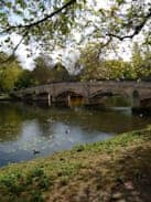 employee counselling: a bridge over a canal with over-hanging trees