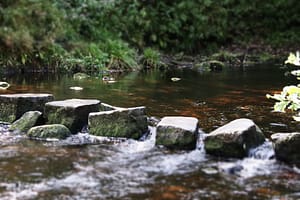 clinical supervision is represented by stepping stones in a stream