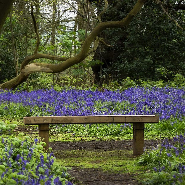 gardening as metaphor