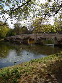 a bridge over a canal with over-hanging trees